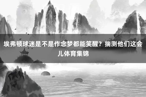 埃弗顿球迷是不是作念梦都能笑醒？揣测他们这会儿体育集锦