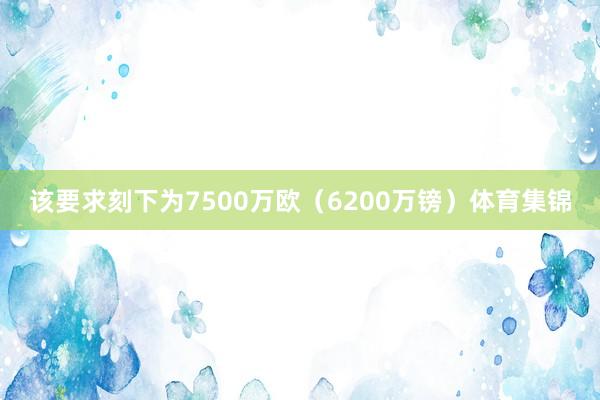 该要求刻下为7500万欧（6200万镑）体育集锦