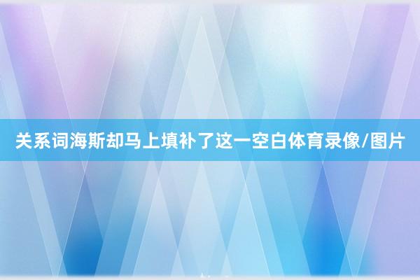 关系词海斯却马上填补了这一空白体育录像/图片