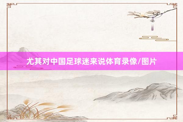 尤其对中国足球迷来说体育录像/图片