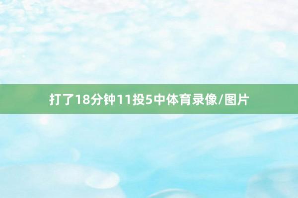 打了18分钟11投5中体育录像/图片