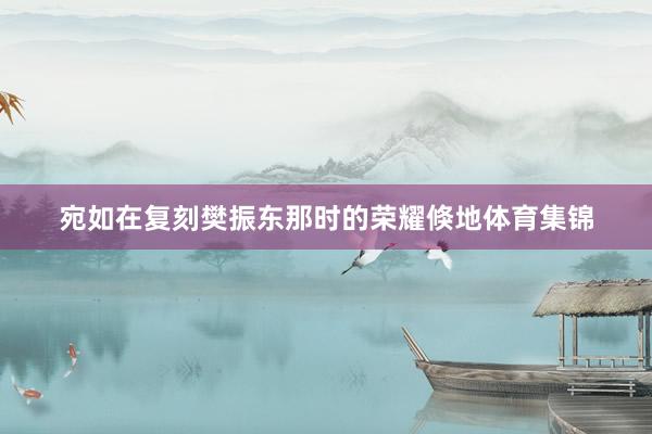 宛如在复刻樊振东那时的荣耀倏地体育集锦