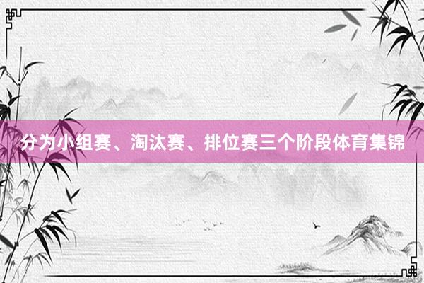 分为小组赛、淘汰赛、排位赛三个阶段体育集锦