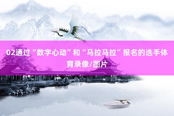02通过“数字心动”和“马拉马拉”报名的选手体育录像/图片