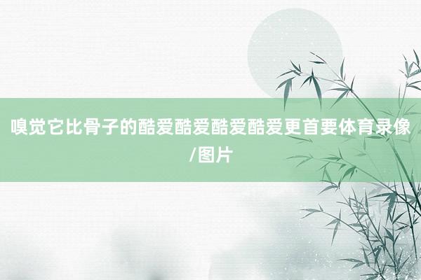 嗅觉它比骨子的酷爱酷爱酷爱酷爱更首要体育录像/图片