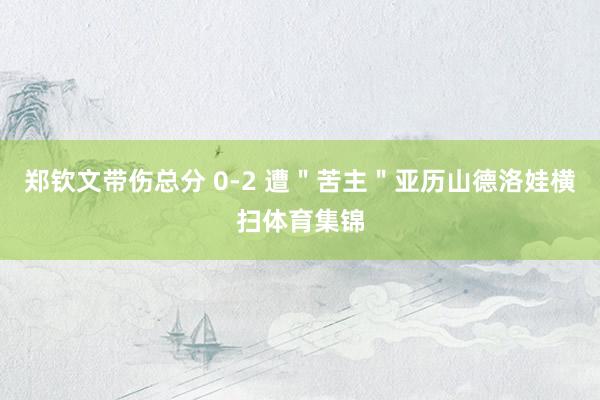 郑钦文带伤总分 0-2 遭＂苦主＂亚历山德洛娃横扫体育集锦