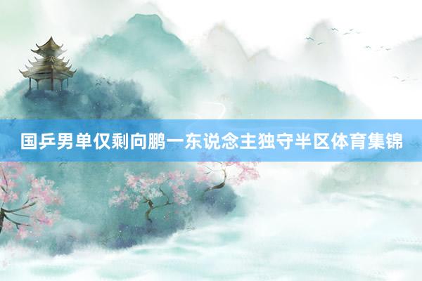 国乒男单仅剩向鹏一东说念主独守半区体育集锦