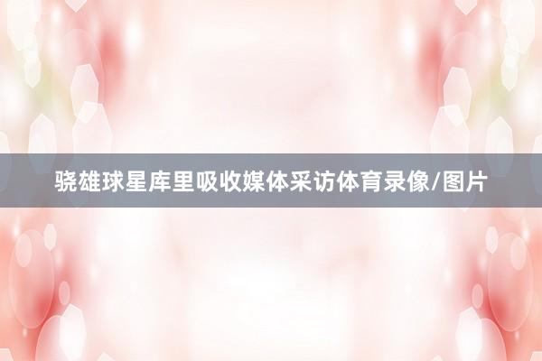 骁雄球星库里吸收媒体采访体育录像/图片