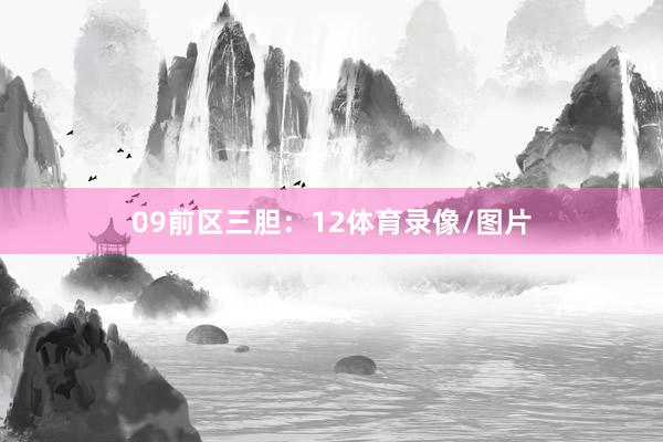 09　　前区三胆：12体育录像/图片