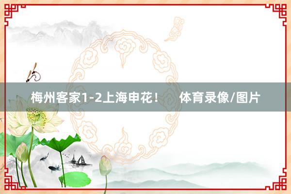 梅州客家1-2上海申花！    体育录像/图片