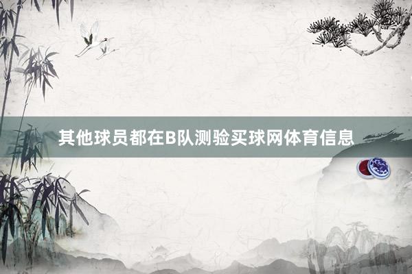 其他球员都在B队测验买球网体育信息