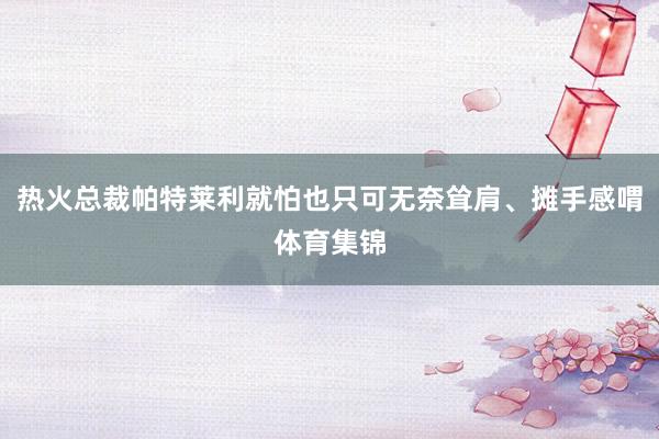 热火总裁帕特莱利就怕也只可无奈耸肩、摊手感喟体育集锦