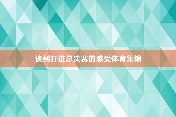 谈到打进总决赛的感受体育集锦