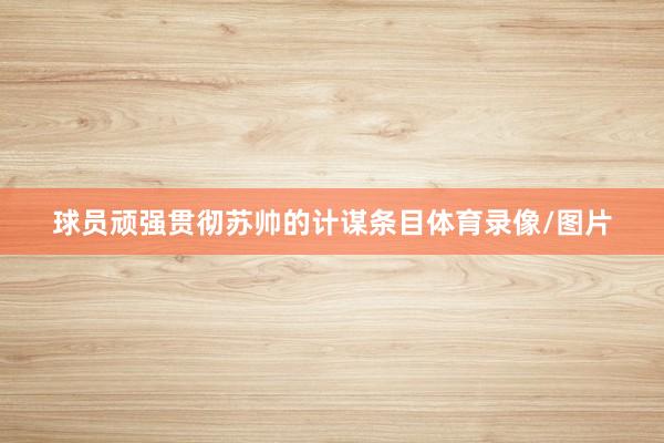 球员顽强贯彻苏帅的计谋条目体育录像/图片