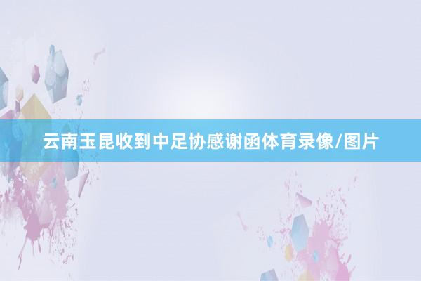 云南玉昆收到中足协感谢函体育录像/图片