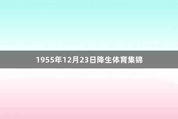 1955年12月23日降生体育集锦