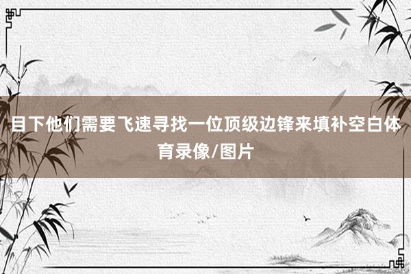 目下他们需要飞速寻找一位顶级边锋来填补空白体育录像/图片