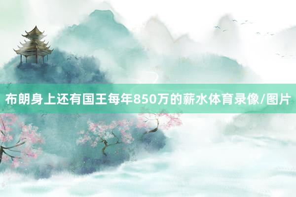 布朗身上还有国王每年850万的薪水体育录像/图片
