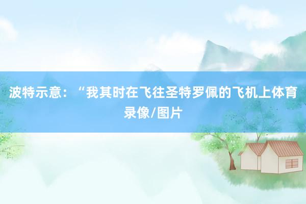 波特示意：“我其时在飞往圣特罗佩的飞机上体育录像/图片