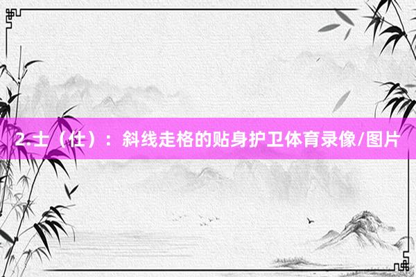 2.士（仕）：斜线走格的贴身护卫体育录像/图片