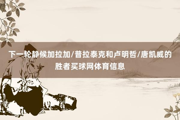 下一轮静候加拉加/普拉泰克和卢明哲/唐凯威的胜者买球网体育信息