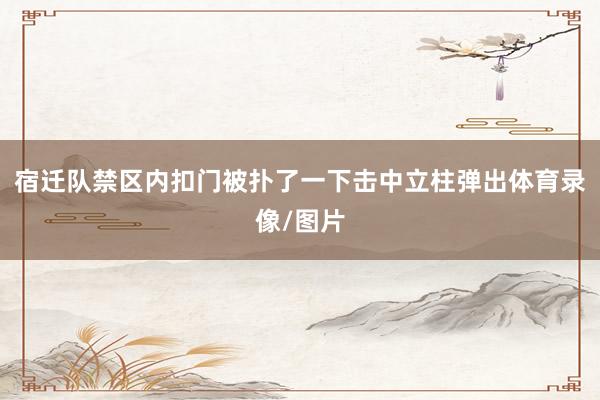 宿迁队禁区内扣门被扑了一下击中立柱弹出体育录像/图片