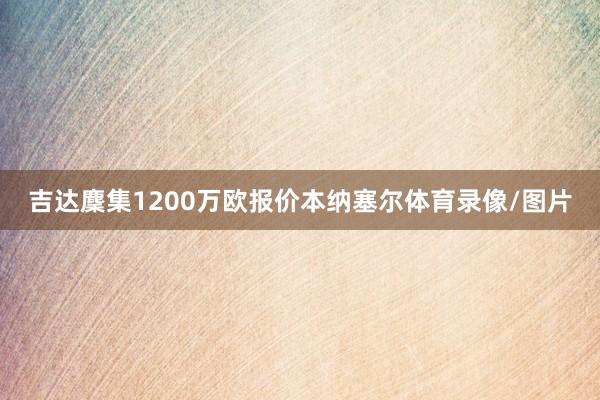 吉达麇集1200万欧报价本纳塞尔体育录像/图片