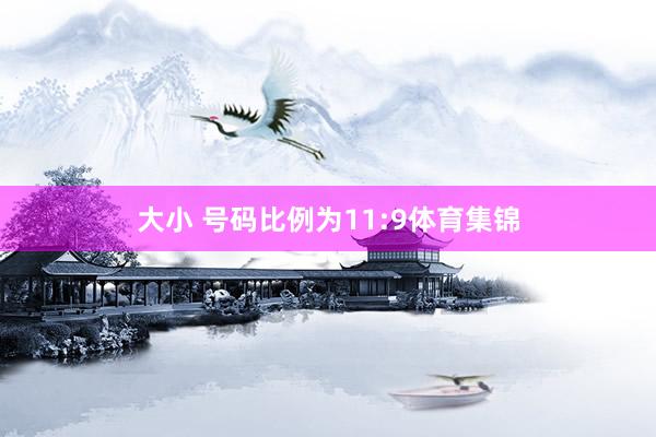 大小 号码比例为11:9体育集锦