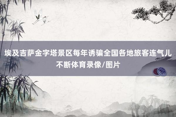 埃及吉萨金字塔景区每年诱骗全国各地旅客连气儿不断体育录像/图片