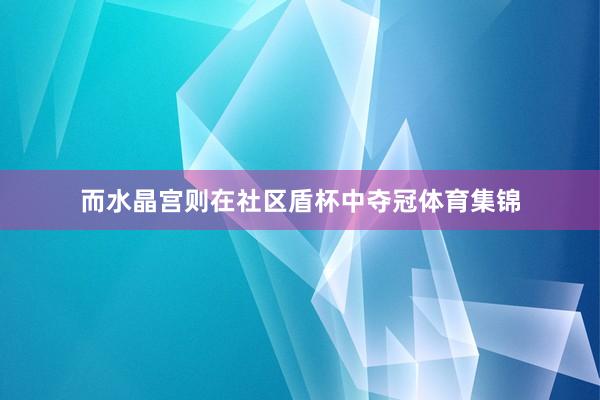 而水晶宫则在社区盾杯中夺冠体育集锦