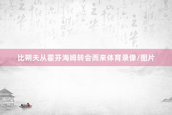 比朔夫从霍芬海姆转会而来体育录像/图片