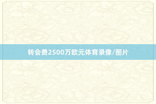 转会费2500万欧元体育录像/图片