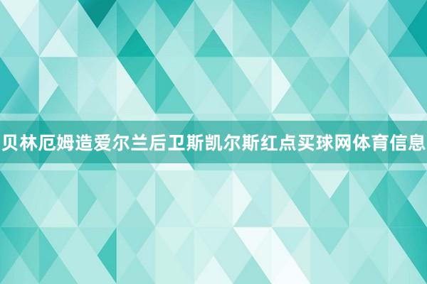 贝林厄姆造爱尔兰后卫斯凯尔斯红点买球网体育信息