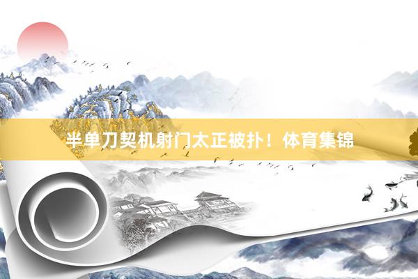 半单刀契机射门太正被扑！体育集锦
