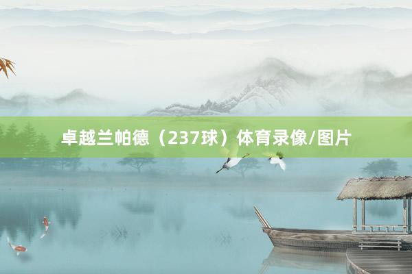 卓越兰帕德（237球）体育录像/图片