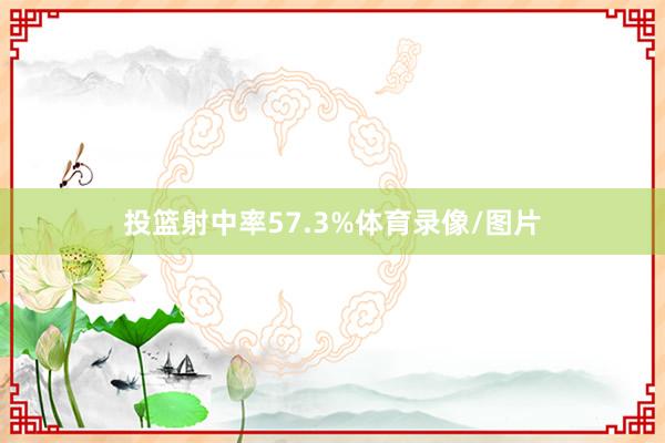 投篮射中率57.3%体育录像/图片