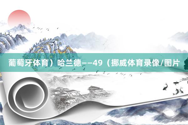 葡萄牙体育）哈兰德——49（挪威体育录像/图片