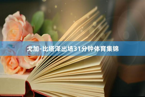 戈加-比塔泽出场31分钟体育集锦