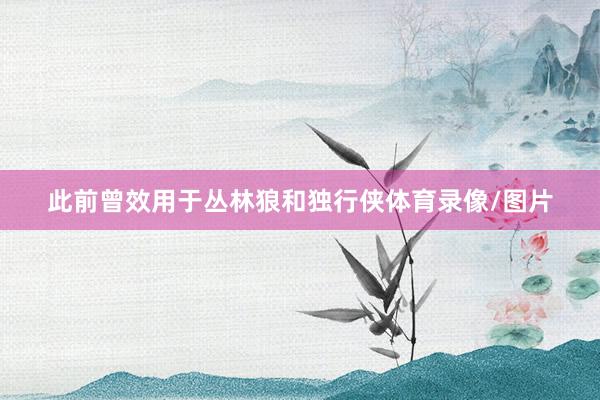此前曾效用于丛林狼和独行侠体育录像/图片