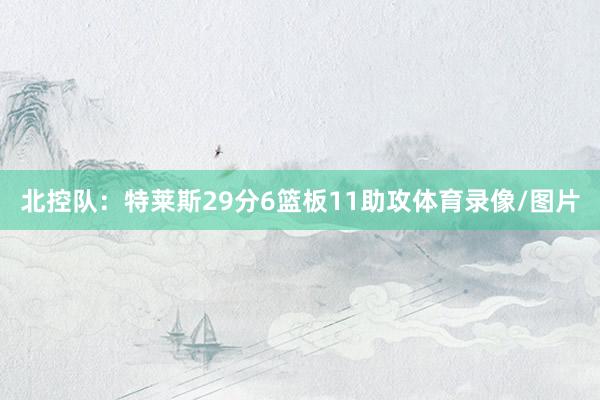 北控队：特莱斯29分6篮板11助攻体育录像/图片