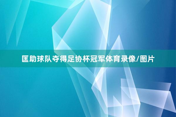 匡助球队夺得足协杯冠军体育录像/图片