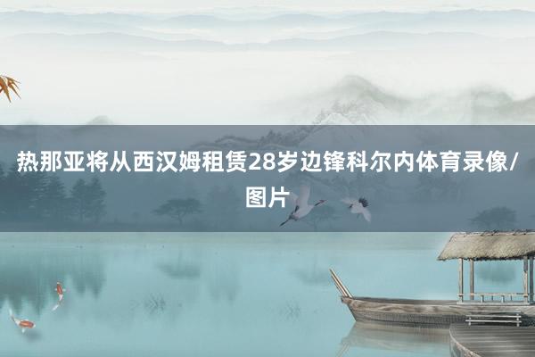 热那亚将从西汉姆租赁28岁边锋科尔内体育录像/图片