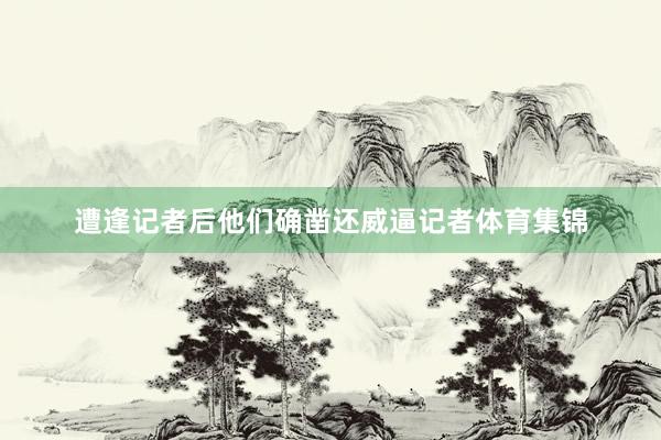 遭逢记者后他们确凿还威逼记者体育集锦