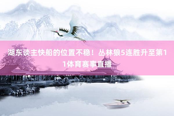湖东谈主快船的位置不稳！丛林狼5连胜升至第11体育赛事直播