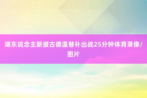 湖东说念主新援古德温替补出战25分钟体育录像/图片