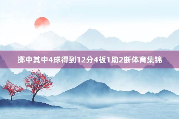 掷中其中4球得到12分4板1助2断体育集锦