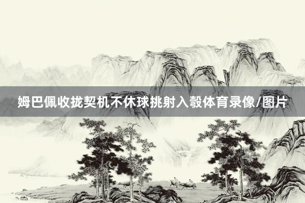 姆巴佩收拢契机不休球挑射入彀体育录像/图片