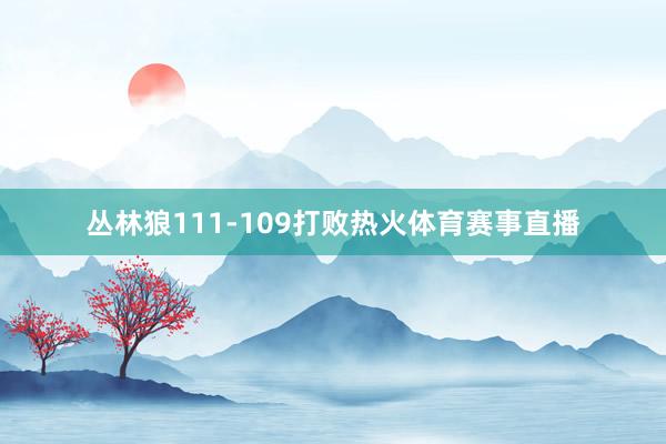 丛林狼111-109打败热火体育赛事直播