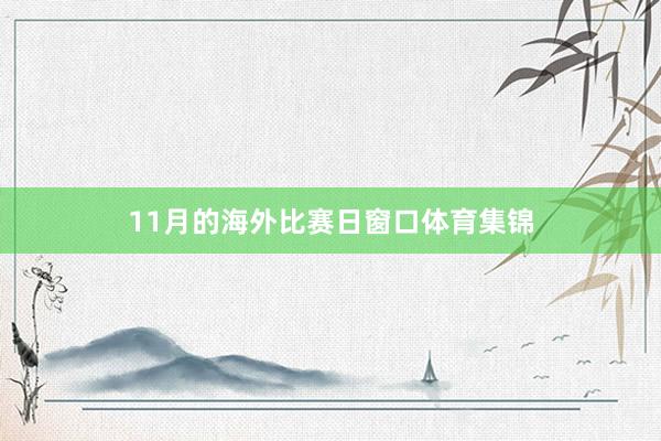 11月的海外比赛日窗口体育集锦