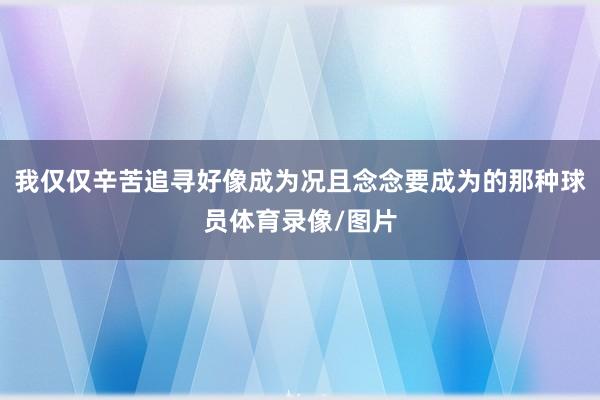 我仅仅辛苦追寻好像成为况且念念要成为的那种球员体育录像/图片